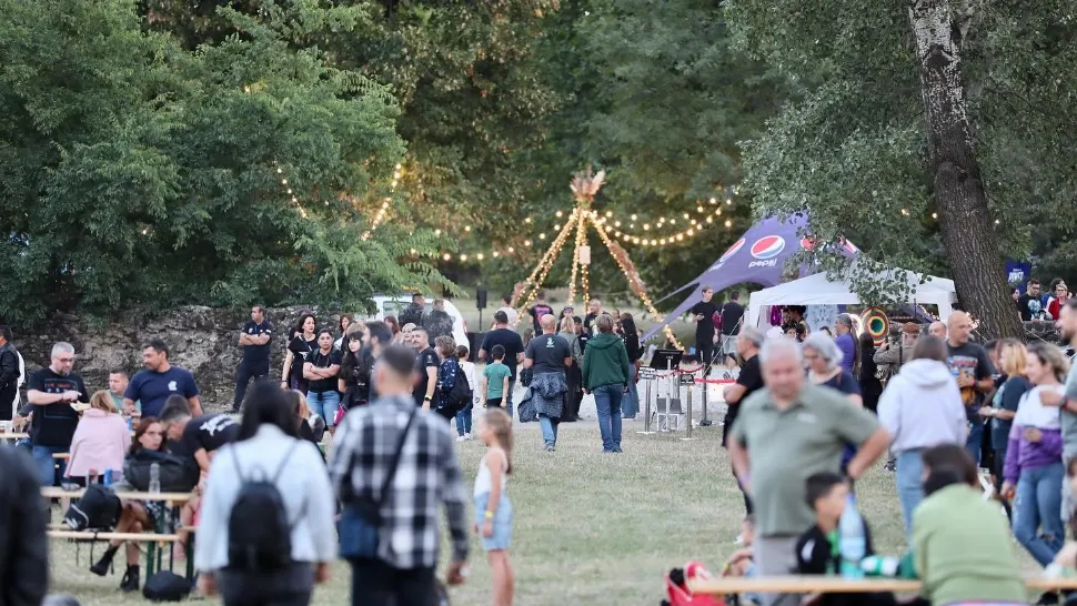 Participanți la un festival rock, depistați cu substanțe interzise