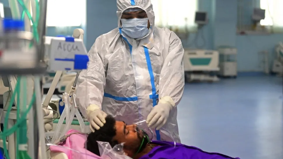 După COVID, un alt virus transmis de lilieci provoacă panică în India. Din 23 de infectați, 21 au murit
