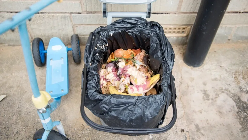 29 septembrie - Ziua Risipei alimentare. Câte tone de mâncare aruncă românii la gunoi anual