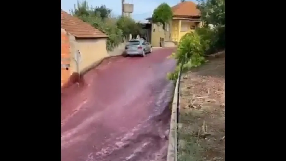 Un sat din Portugalia a fost inundat cu vin roșu - Cum a fost posibil un asemenea accident