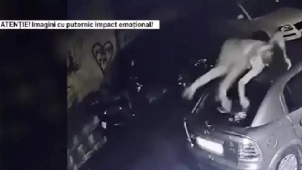 Reacția Poliției în cazul tânărului drogat care a murit la spital - Ce spune expertiza medico-legală referitor la cauza decesului