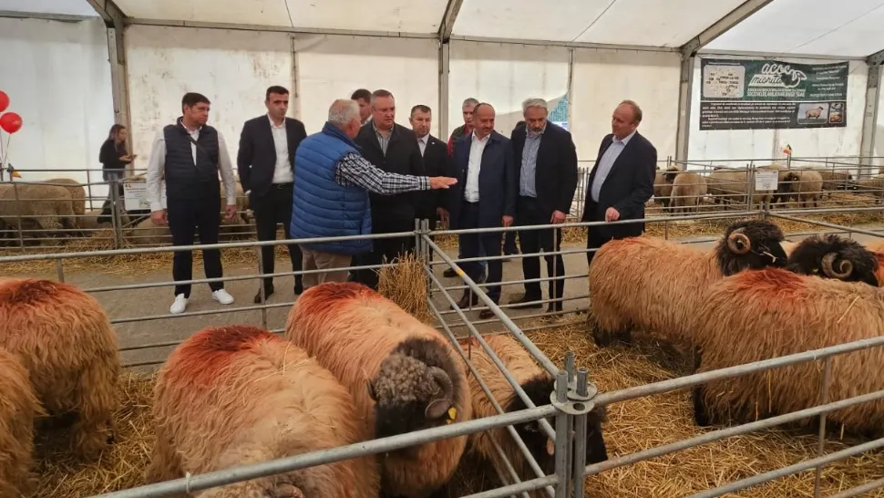 Nicolae Ciucă, vizită neașteptată la târgul Indagra. Discuții cu fermierii români - Măsuri pentru sectorul agricol