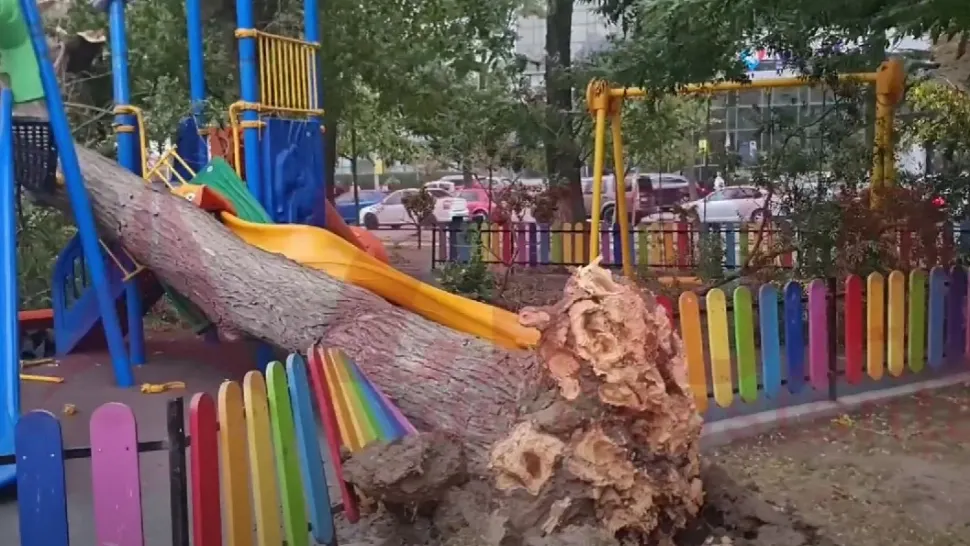 La un pas de TRAGEDIE! Copac doborât de vânt peste un loc de joacă, în Constanța VIDEO