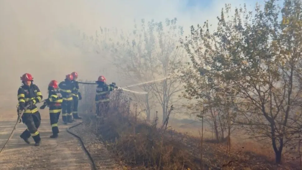 Incendiu de proporții în Delta Dunării. A luat foc pădurea din Plauru, localitatea unde tot cad drone rusești FOTO