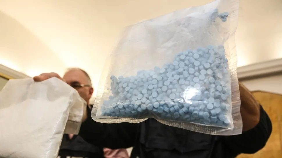 Captură record de Ecstasy. Polițiștii au descoperit sute de mii de comprimate, în valoare de 4 milioane de euro 