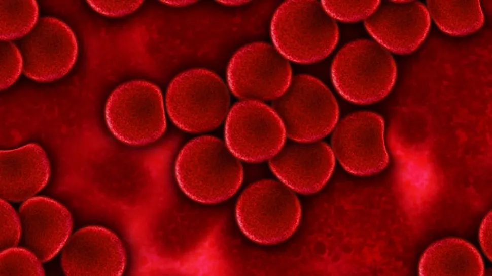Fructul plin de vitamine care previne bolile de inimă și scade aciditatea sângelui