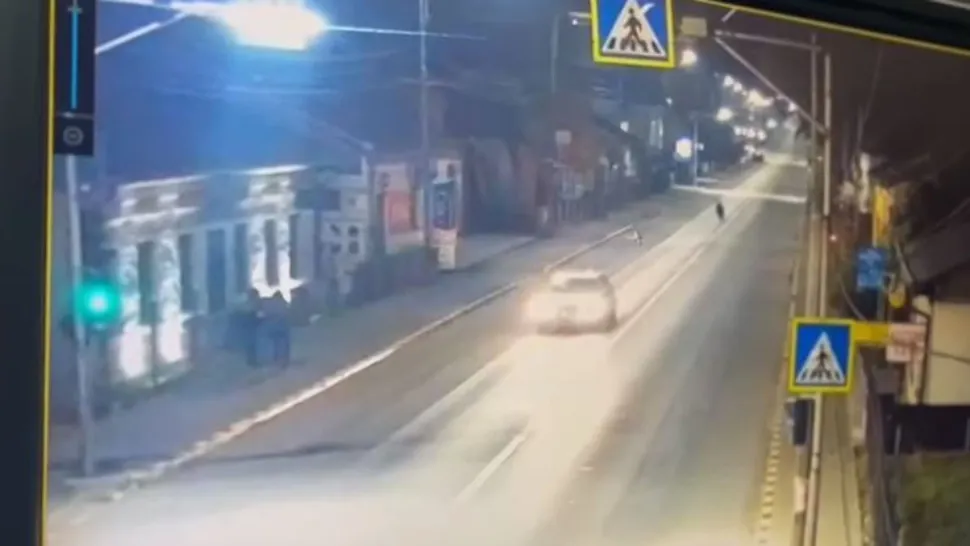 Urs filmat pe străzile unui oraș, printre mașini și oameni