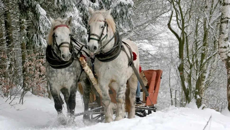 Cum va fi vremea de Crăciun și de Revelion. Zonele din România unde va ninge ca-n povești