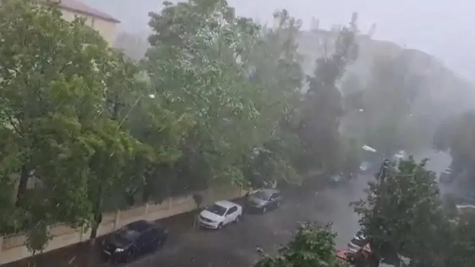 Vântul a făcut prăpăd și în București - 21 de copaci au căzut pe domeniul public, 6 mașini au fost distruse
