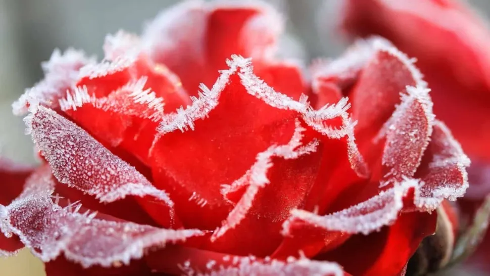 Vremea 3 decembrie. Temperaturi în scădere, cu zăpadă și ger - Unde cad ninsorile