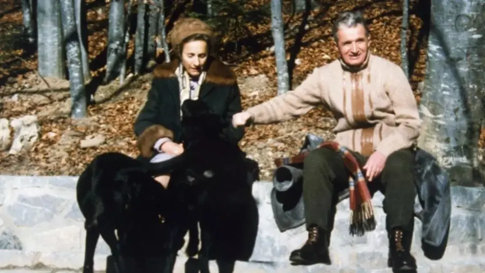 Și-a presimțit Nicolae Ceaușescu sfârșitul pe 16 decembrie 1989? De ce s-a apropiat de copacul DEMONIC