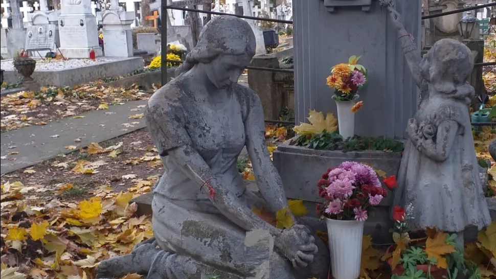 Rona Hartner, înmormântare de Ziua Națională. Imagini emoționante - FOTO
