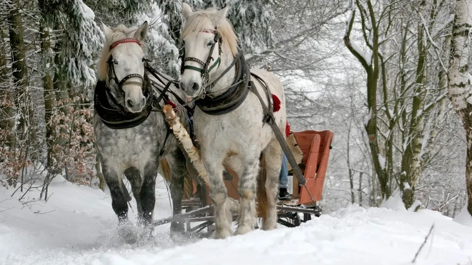 Prognoza meteo de Revelion: temperaturile cresc brusc. Unde va ninge ca în povești