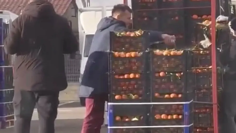 Cum ne otrăvesc comercianții: citrice stropite cu substanțe toxice, puse la vânzare în piețe. INCREDIBIL ce pulverizează pe ele! VIDEO