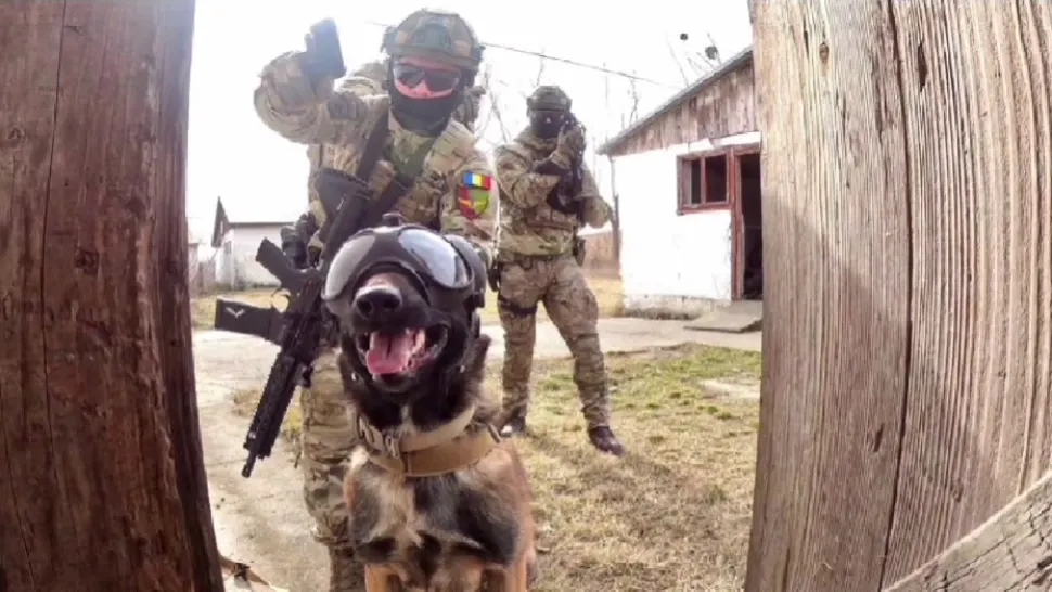 Armata Română caută parușutiști de COMANDO pentru trupele speciale. Ce calități li se cer candidaților? - VIDEO