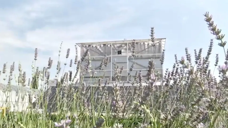 Proiect revoluționar în Buzău: sera verticală care consumă cât un bec, salvarea agricultorilor - FOTO