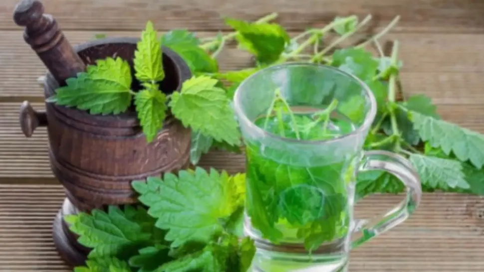 Ce se întâmplă în corpul tău dacă bei zilnic două linguri de suc de urzici: antidot natural recunoscut de medici 