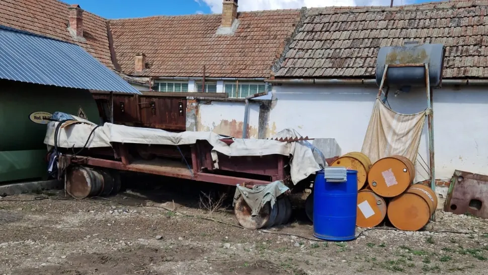 Cazul animalelor găsite moarte pe câmp, între Arad şi Timiş. Activitatea a 3 agenți economici, interzisă: neregulile descoperite de Garda de Mediu