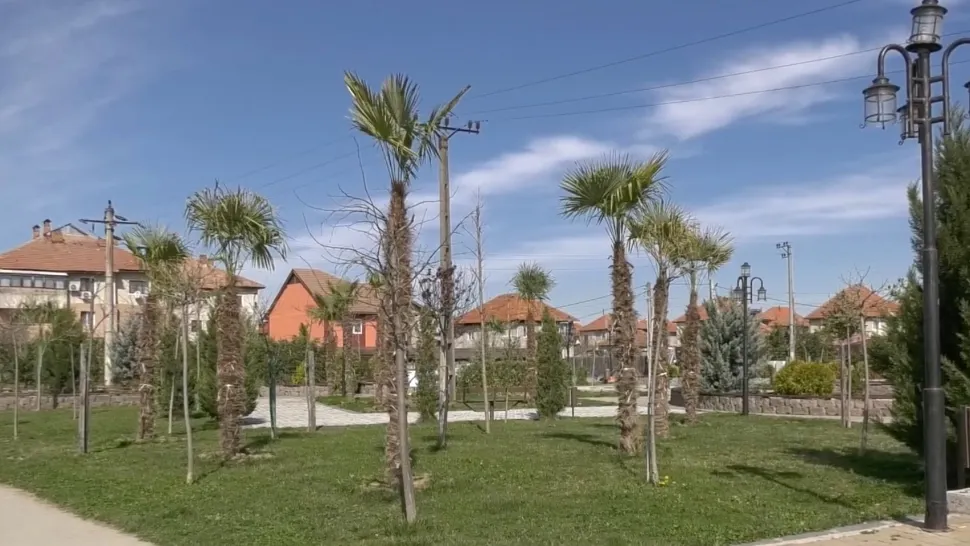 Palmieri în comuna cu drumuri peticite și ruptă de civilizație - FOTO