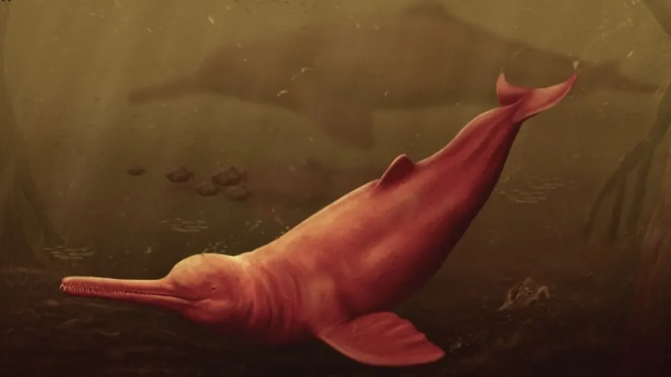 Oamenii de știință au făcut o descoperire uimitoare: este vorba de o nouă specie