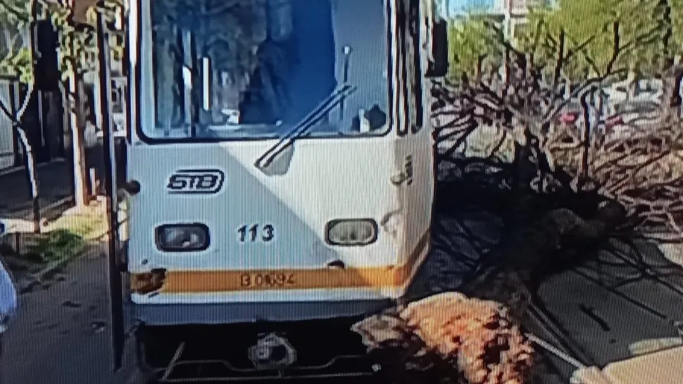 Haos total, în București, din cauza vântului. Un copac a fost doborât de vânt pe un tramvai FOTO