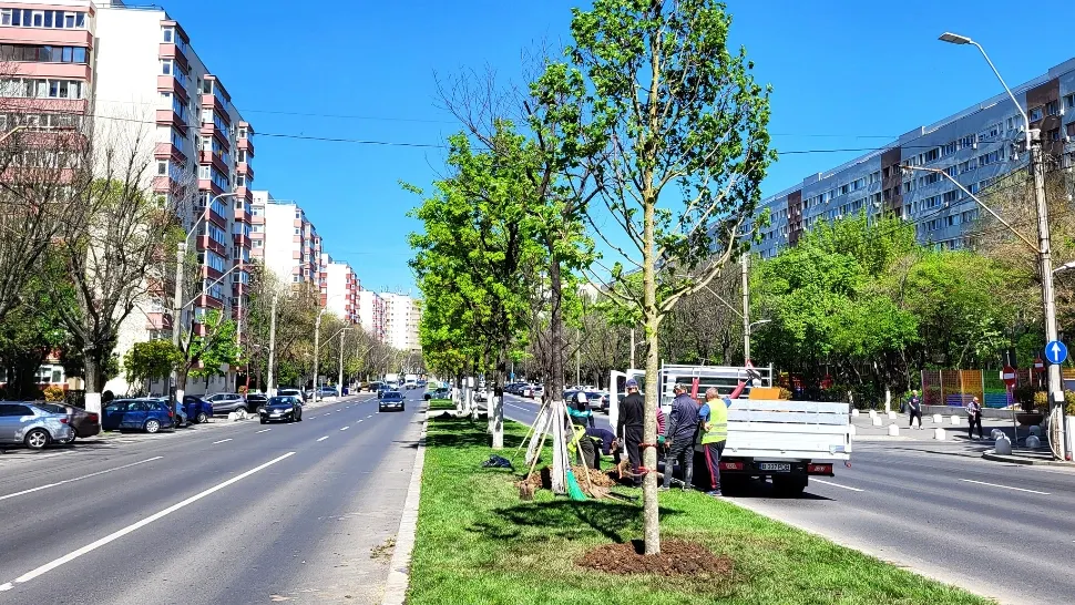 Bulevardul Alexandru Obregia se transformă în Artera teilor - FOTO
