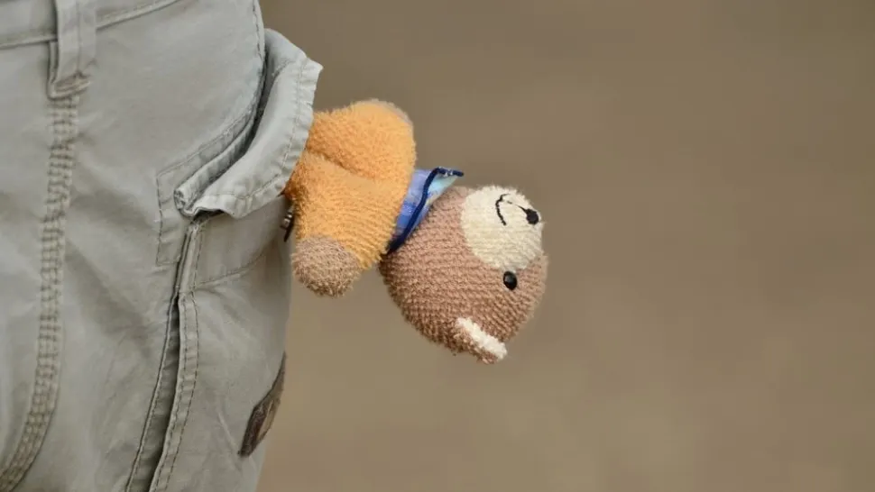 Bărbat de 35 de ani, cercetat pentru viol: victima este minoră. Familia fetei a tăinuit totul ca să nu se facă „de râs” în sat  