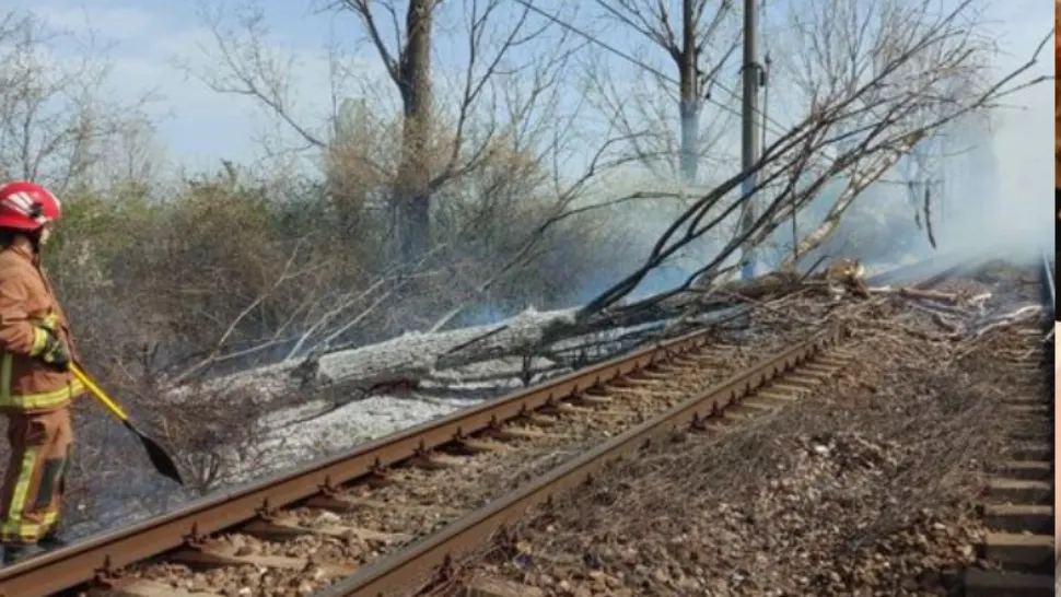 Trafic feroviar blocat complet. A izbucnit un incendiu, după ce mai mulți copaci au căzut peste linia de contact și peste șine