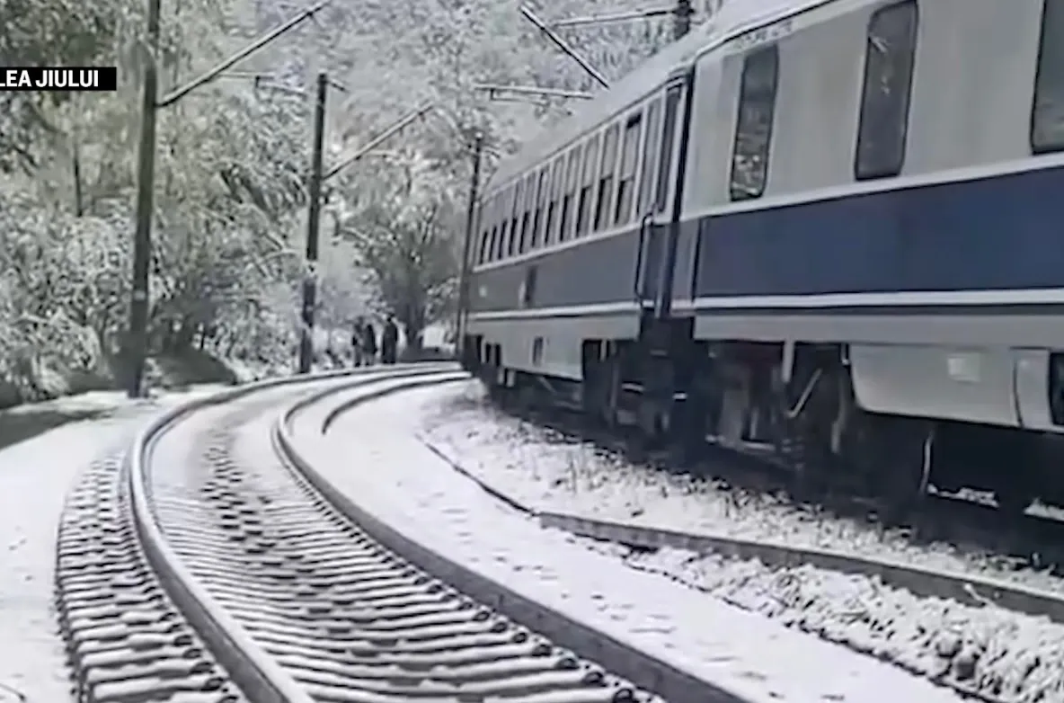 Iarna a revenit în forță, după temperaturi de 30 de grade! Copac doborât pe șine din cauza zăpezii, oameni blocați în tren