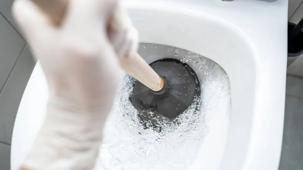 Sfaturi practice. 10 obiecte pe care să NU le arunci niciodată în toaletă