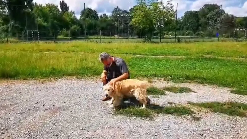 Un cățel norocos: Și-a regăsit stăpânii după aproape doi ani VIDEO