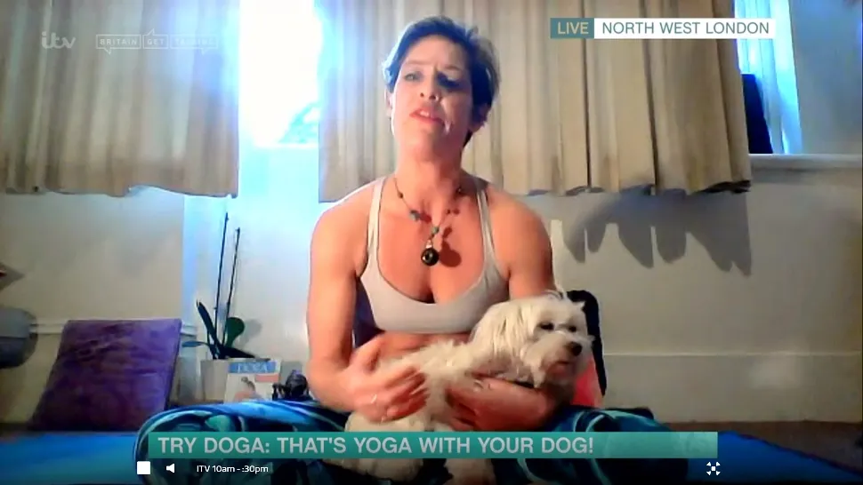Yoga cu căței, interzisă în Italia."Doga" este tot mai populară, inclusiv în România