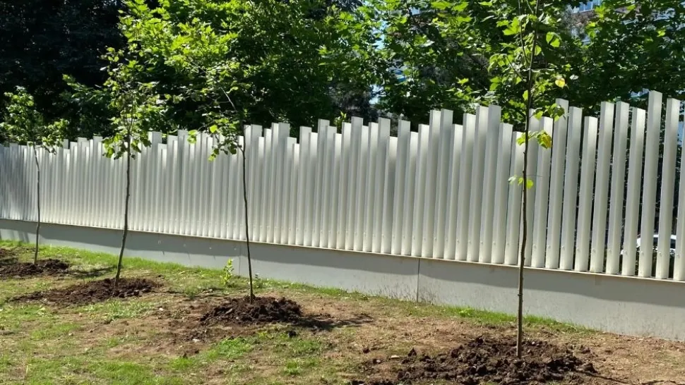 S-au plantat 80 de tei în Orășelul Copiilor - FOTO