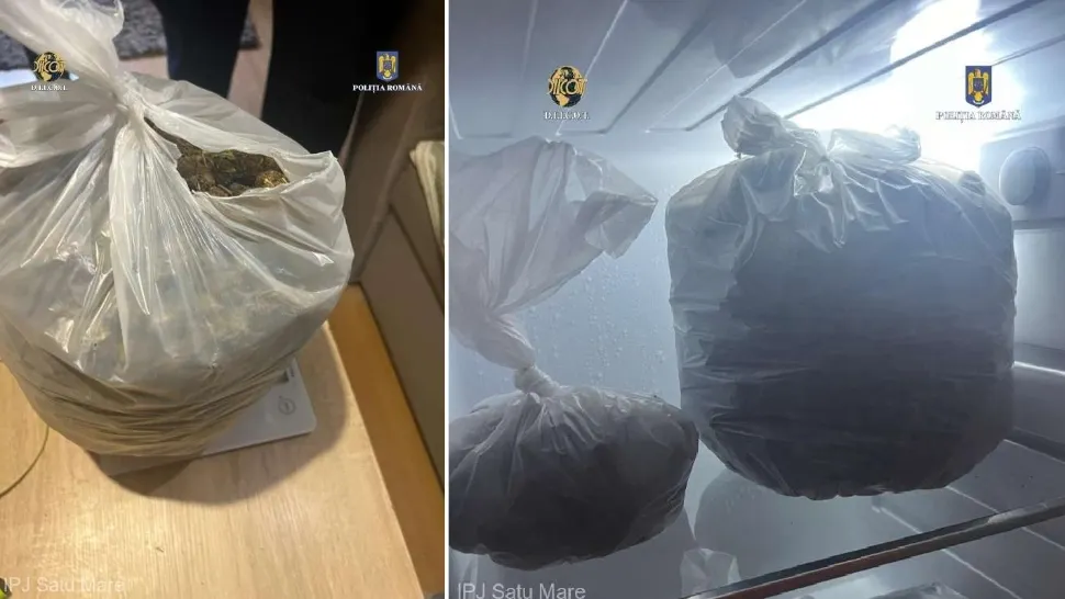 Captură record în Satu Mare: Doi dealeri au fost prinși în timp ce încercau să vândă 1 kg de canabis