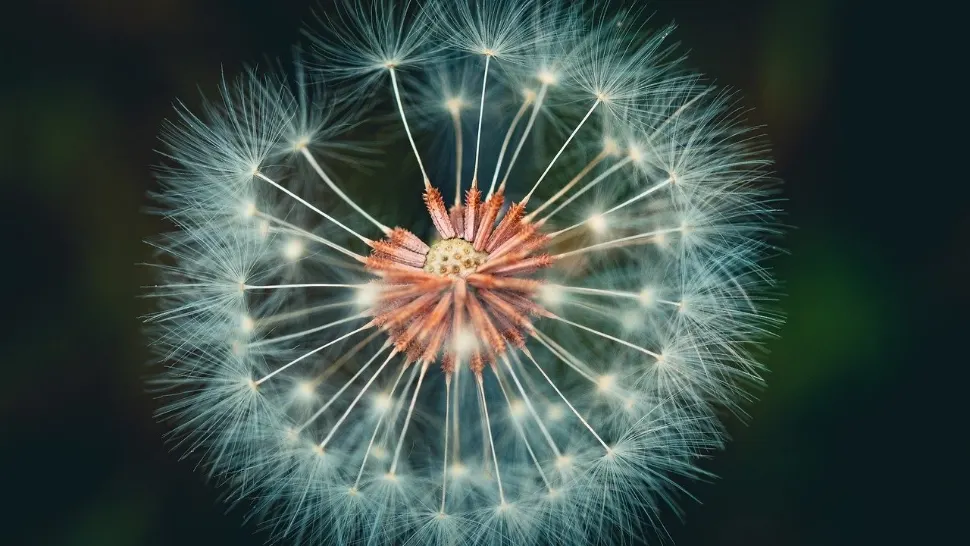 Horoscop 11 iunie 2024. Zodiile care vor primi daruri neașteptate