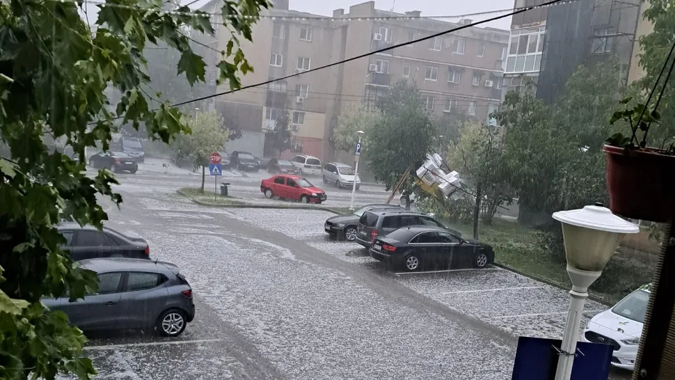 Cod galben de vijelii în București și județele limitrofe. Vezi HARTA