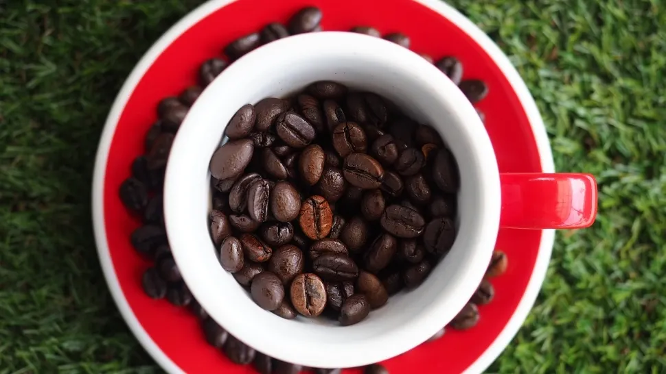  Nu mai arunca zațul de cafea. Iată ce poți face cu el. Sigur nu știai asta