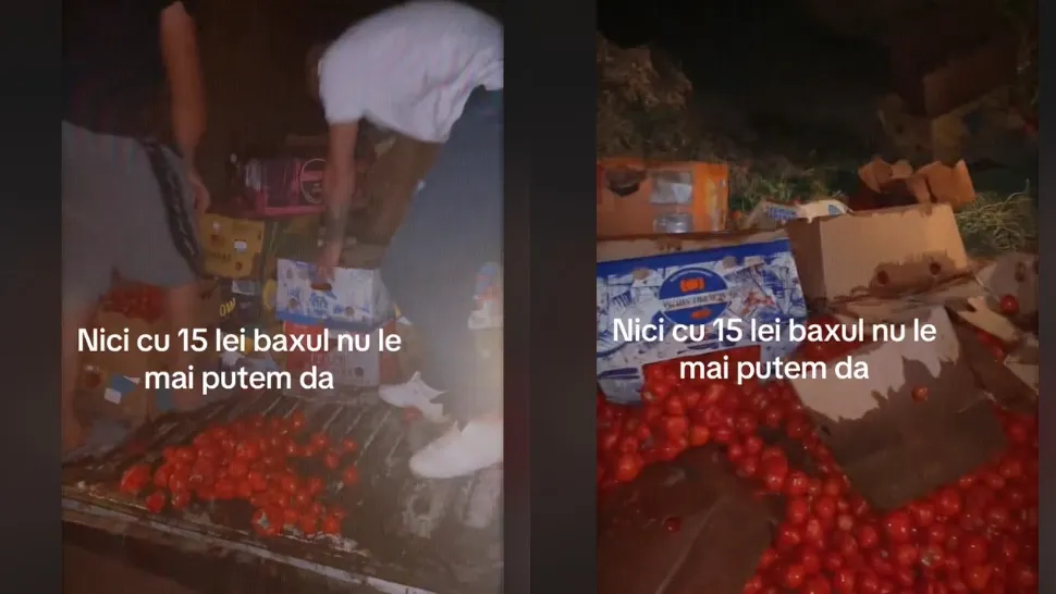 Disperarea fermierilor: aruncă tone de roșii din cauza prețurilor