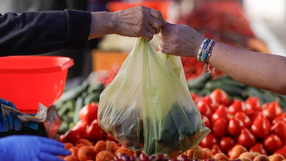 Cum deosebim tipurile de roșii din piață, ca să știm să le alegem pe cele mai gustoase