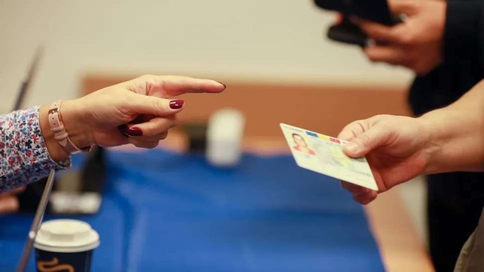 Alegeri prezidențiale 2024. Documentele cu care vor putea vota românii din străinătate 
