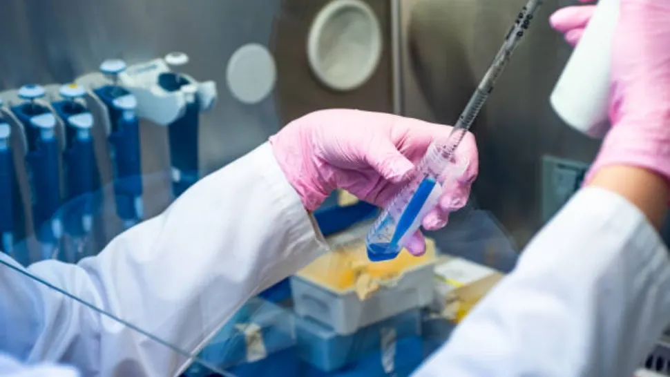 Clinicile de celule stem lovesc în buzunarele celebrităților. Cum a ajuns Sânziana Buruiană bună de plată, după ce nu a putut să rezilieze contractul