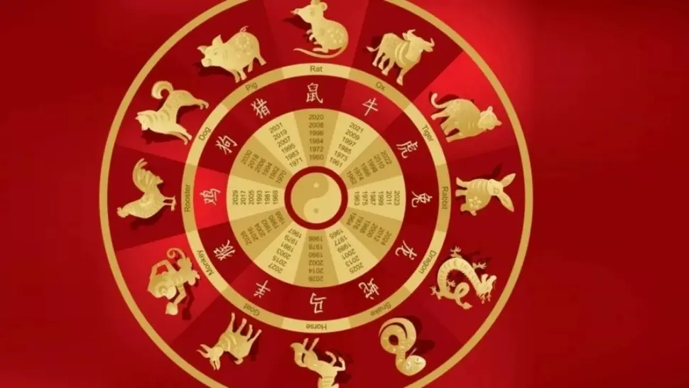 Cele 5 elemente ale zodiacului chinezesc. Află punctele și energiile tare forte, în funcție de zodie 