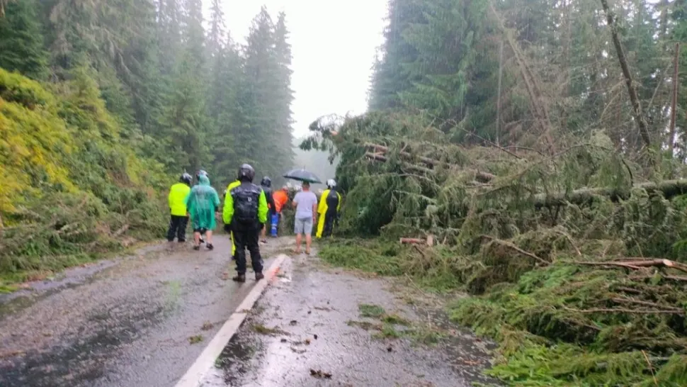 Urgie pe Transalpina. Sute de turiști blocați ăn trafic, după ce o furtună puternică, cu grindină, a doborât mai mulți copaci - FOTO/VIDEO