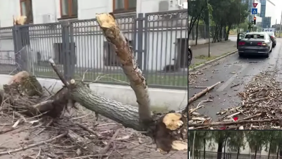 Zeci de autoturisme au fost avariate de copacii doborâți de furtuna din București. A fost alerta de urgență GRAVĂ - FOTO