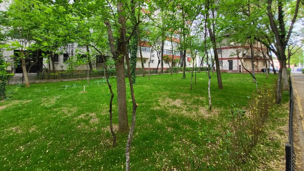 Transformare incredibilă a unor grădini de blocuri de pe șoseaua Olteniței