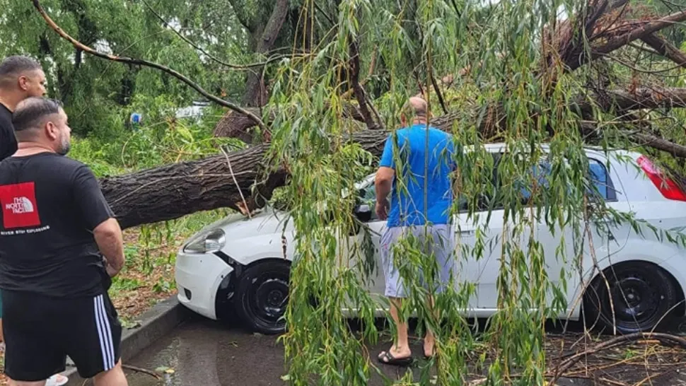 Centrul Ploieștiului, măturat de o furtună puternică. Mai mulți copaci au fost puși la pământ FOTO+VIDEO