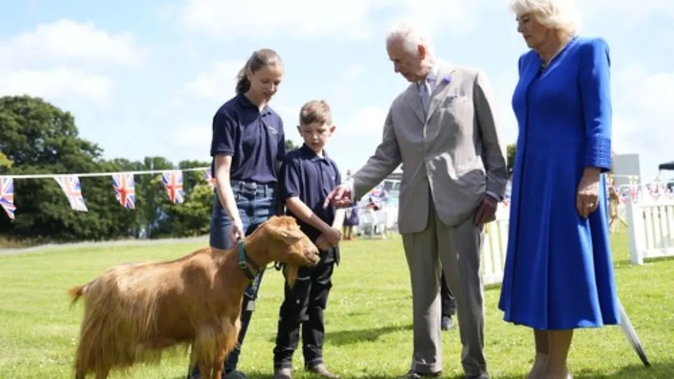 Regele Charles a înnobilat o capră. Ce este asa de special la animalul care a primit titlul regal