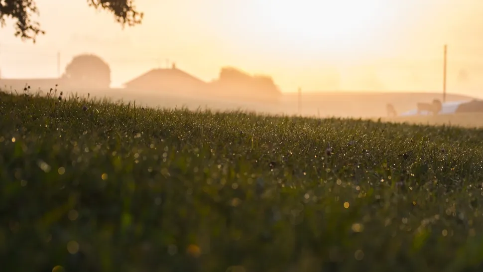 Se dau 280.000 de euro de la stat pentru agricultorii români. Vești bune în România