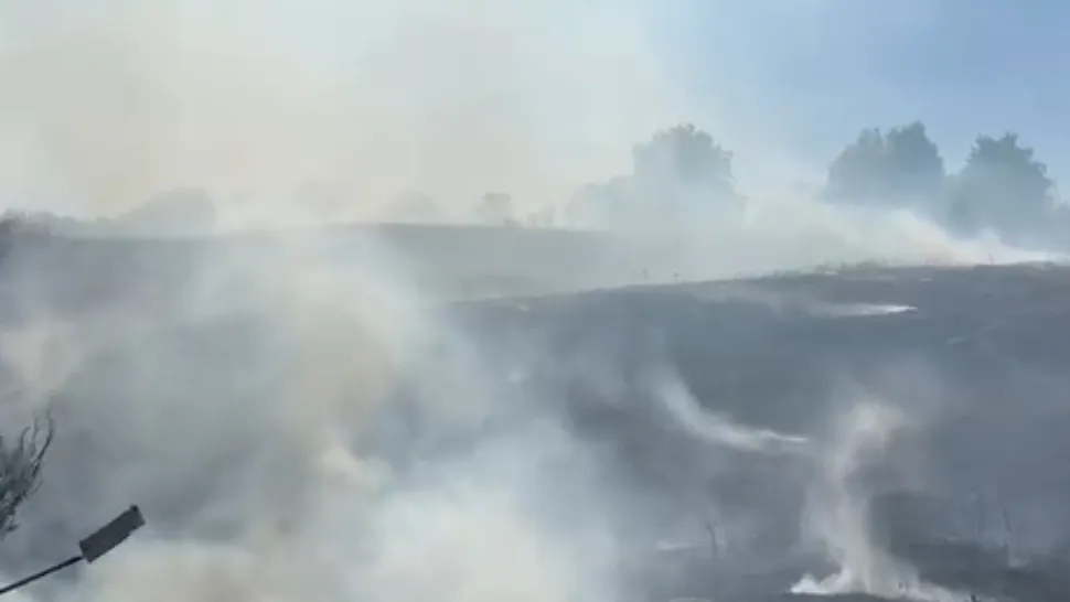 Peste 50 de hectare de vegetaţie uscată, cuprinse de un INCENDIU, în județul Vaslui. Risc uriaș ca focul să se extindă: ce MĂSURI au luat pompierii