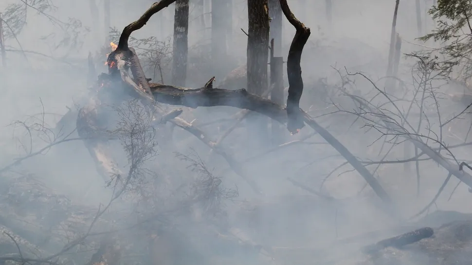 Incendiu de proporții în Târgoviște: Autoritățile au intervenit de urgență